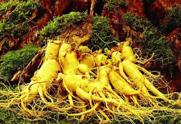 Drogas naturais contra a potencia