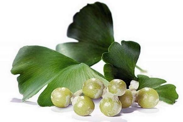 Ginkgo Biloba aumenta a potencia masculina