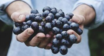 As uvas fortalecen a erección